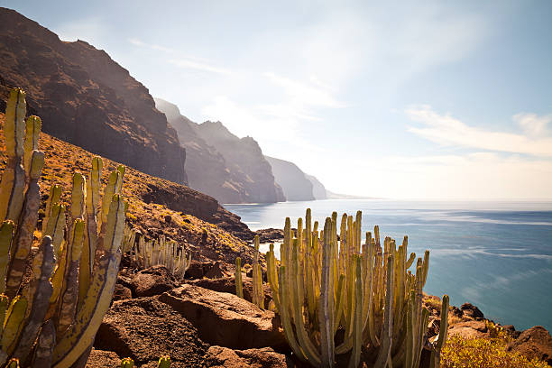 Punta de Teno, Tenerife, Spain The majestic mountain range of Punta de Teno, Tenerife tenerife stock pictures, royalty-free photos & images
