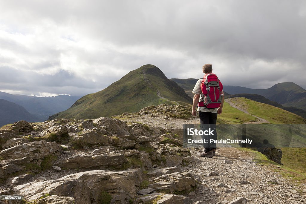 Hiker in the English Lake District A male hiker admires the view from the top of Catbells in the Lake District National Park, Cumbria, England. Catbells Stock Photo