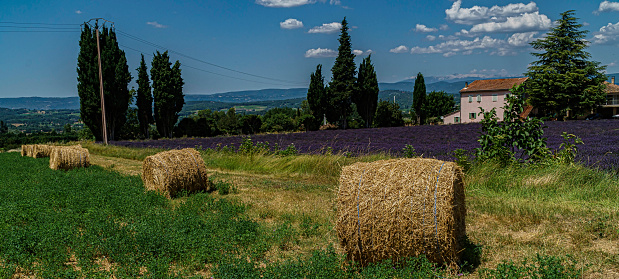 Combining colors is what makes Provence so unique