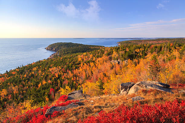 Otter Point from Gorham Mountain in Autumn, Acadia National Park An early morning Autumn view of Otter Point from the top of Gorham Mountain; Acadia National Park, Maine. acadia national park maine stock pictures, royalty-free photos & images