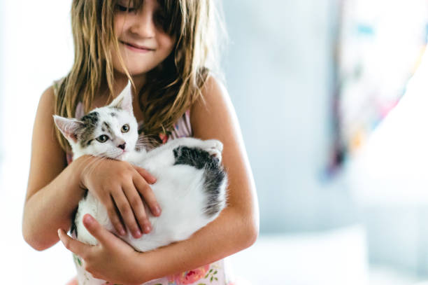 istock A girl and her kitten 1872719199