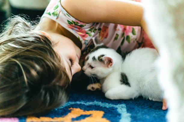 istock A girl and her kitten 1872728723