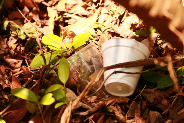 istock Plastic Cup and Can Polluting Nature 1872731954