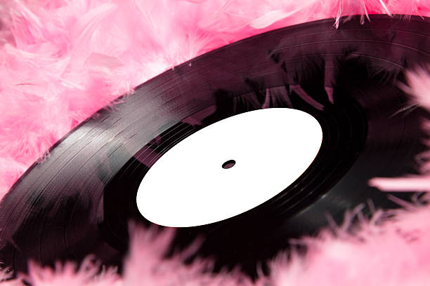 Vinyl Record in Pink Feathers stock photo