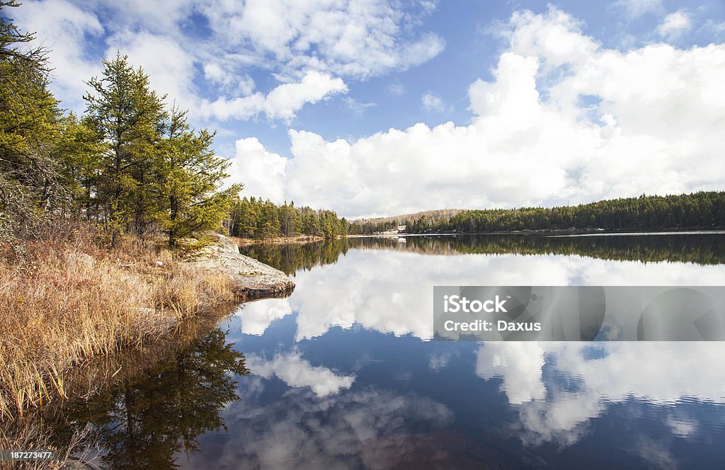 Área silvestre lago - Foto de stock de Agua libre de derechos