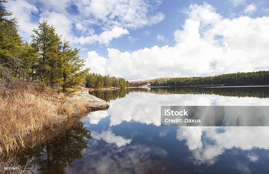 Lago Reserva Ecológica - Royalty-free Ao Ar Livre Foto de stock