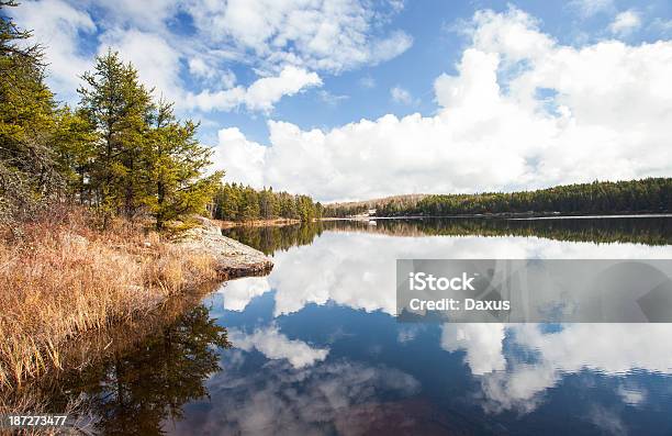 Foto de Wilderness Lago e mais fotos de stock de Arbusto - Arbusto, Azul, Canadá