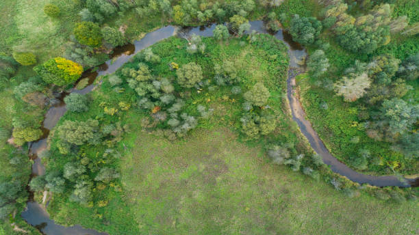 istock Aerial landscape view over the river, Russia 1872735430