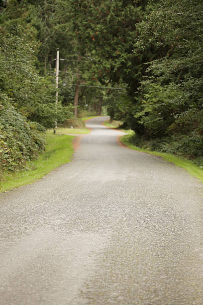 istock Country Road 187274771