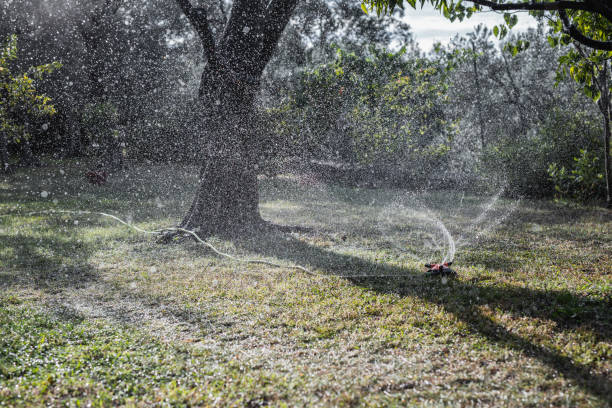 istock Automatic watering in the backyard garden 1872747909