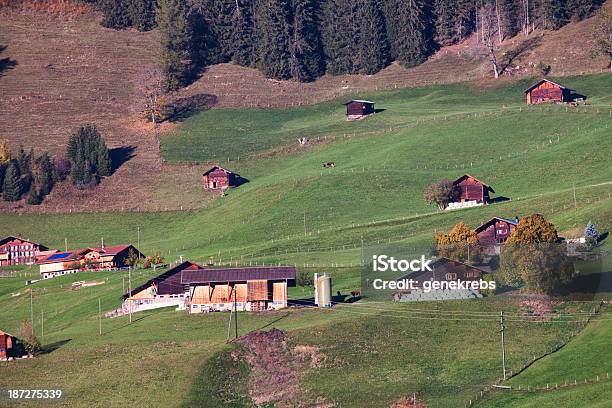 Swiss Farm Per Alp Nella Luce Della Sera - Fotografie stock e altre immagini di Agricoltura - Agricoltura, Albero, Alpi Bernesi