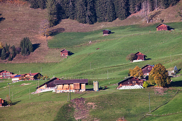 istock Swiss Farm on Alp in Evening Sunlight 187275339