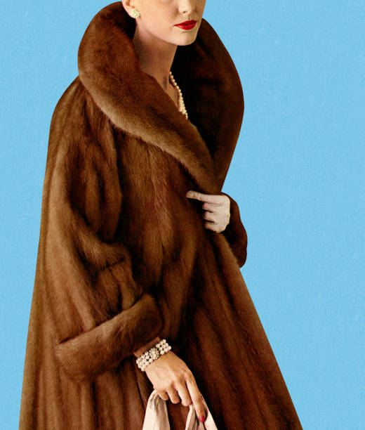 женщина в пальто с мехом - colored background adult photography color image stock illustrations