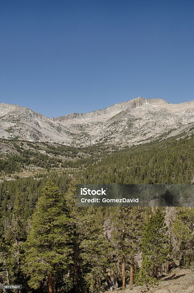Vue pittoresque sur la chaîne de montagnes de la Sierra Nevada - Photo de Amérique du Nord libre de droits