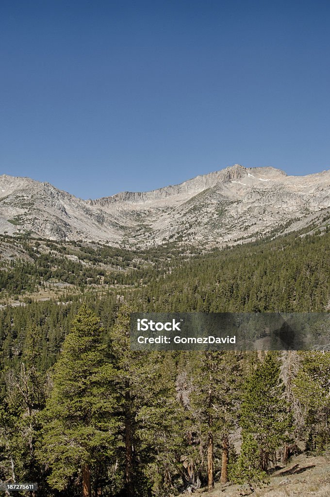 Vista panoramica della Sierra Nevada - Foto stock royalty-free di Albero