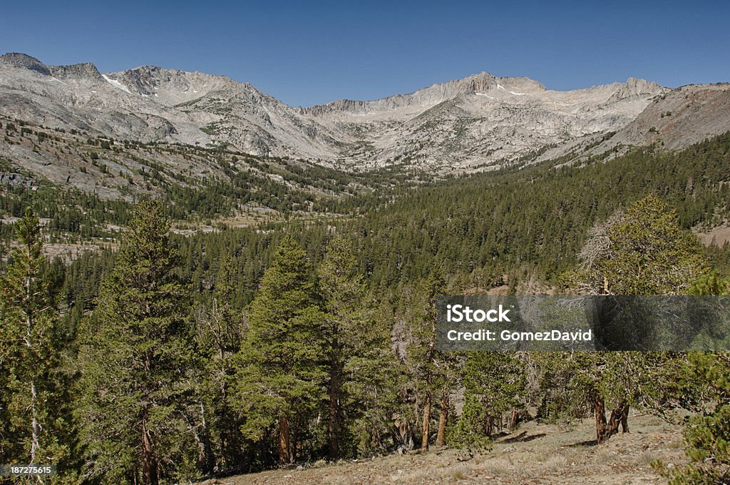 Malerischer Blick auf die Bergkette Sierra Nevada - Lizenzfrei Amerikanische Sierra Nevada Stock-Foto