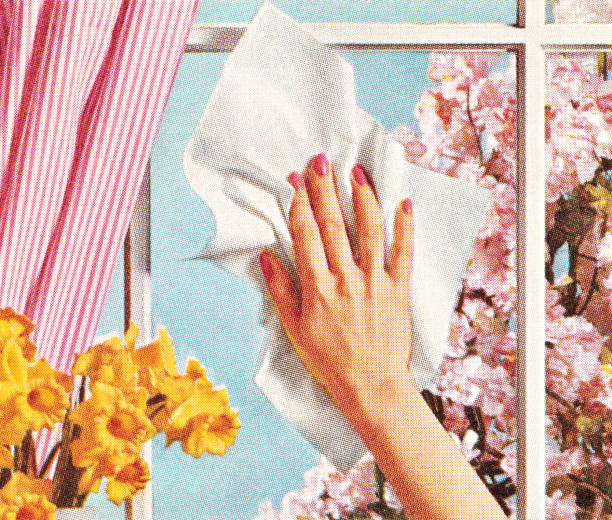 stockillustraties, clipart, cartoons en iconen met woman's hand cleaning window - schoonmaken illustraties