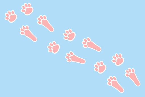 Rabbit's prints footpath stickers. Cute bunny's paws footprints in pink and white colours. Easter template for kids. Animal theme. Vector isolated illustration.
