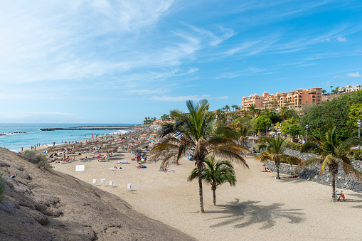 Sandy beach with thatched parasols and sunbeds, Costa Adeje, Tenerife