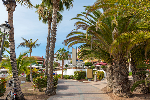 Spain Majorca Palma, view of Portixol Coastline, Balearic Islands.