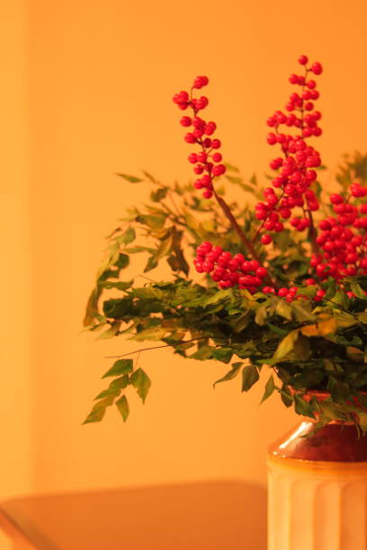 istock Half of Vase with Red Plant 1872841739