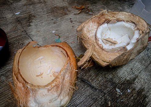 photo of old coconut halves on the ground. selective focus