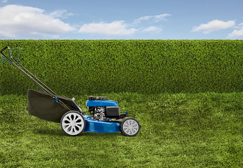 Blue lawn mower in a backyard with green grass and hedge fence that's nicely cut