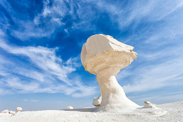 tipo seta stone - white desert fotografías e imágenes de stock