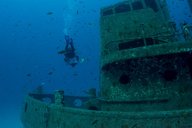 istock tugboat rozi in Malta 187288788