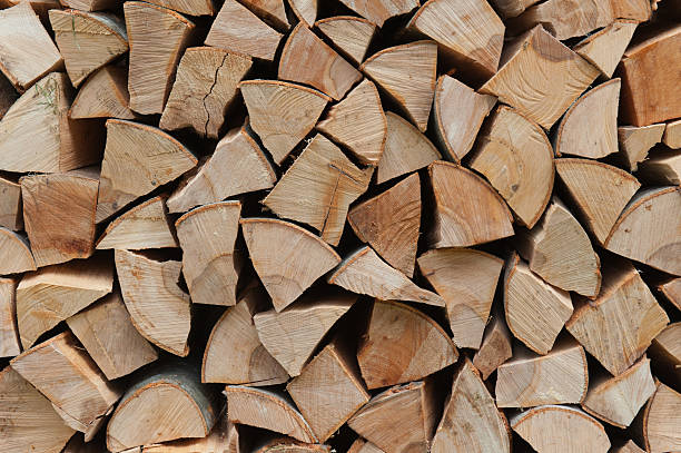 Montón de madera - foto de stock