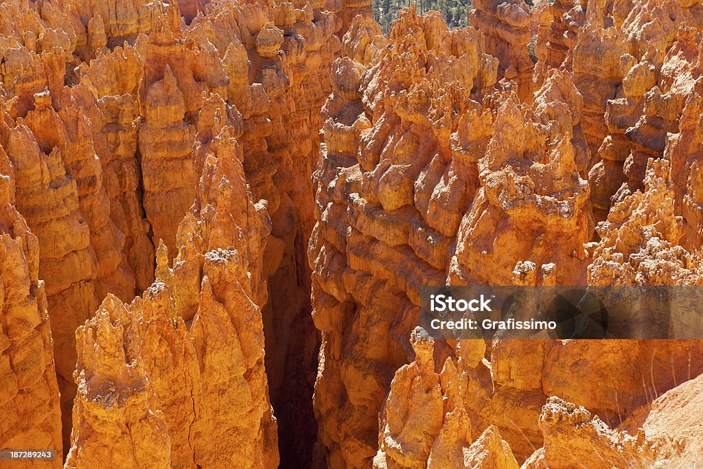 브라이스 협곡 국립 공원 USA - 로열티 프리 갈색 스톡 사진