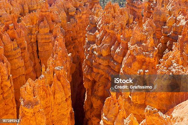 브라이스 협곡 국립 공원 Usa 갈색에 대한 스톡 사진 및 기타 이미지 - 갈색, 개념, 건조 기후