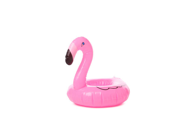 istock Rubber ring flamingo isolated on white background 1872902328