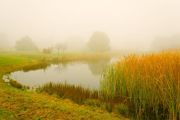 Fog Over the Pond in the Morning in Autumn - 36 Mpx
