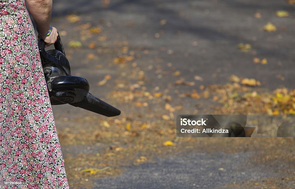 blowing the leaves off driveway a person using an electric blower to blow the leaves of the asphalt driveway in the fall. Adult Stock Photo