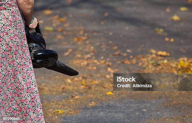 Blowing The Leaves Off Driveway Stock Photo - Download Image Now - Adult, Aiming, Autumn
