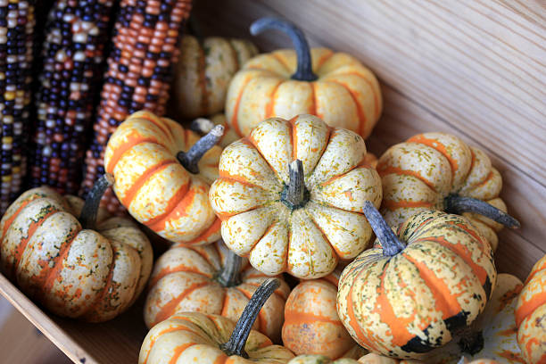 Gourds