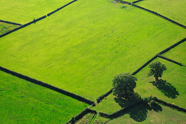istock English farmland 187292956