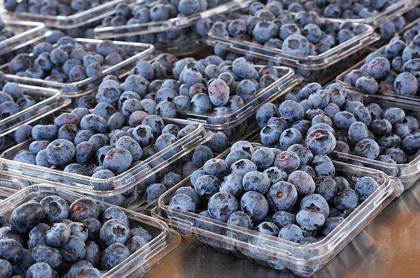 istock Ripe Organic Blueberries in Containers 187293370