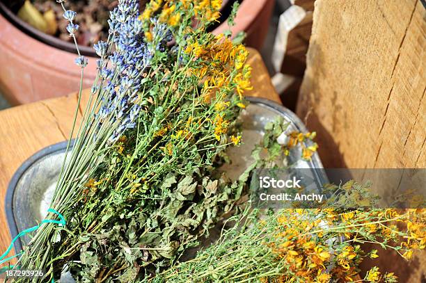 Kräuter Trocknen Stockfoto und mehr Bilder von Blume - Blume, Blumenbouqet, Duftend