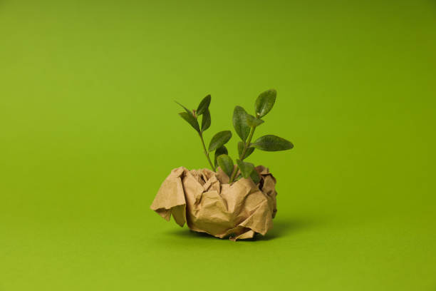 istock Earth Day, Environment concept and Eco concept 1872958599
