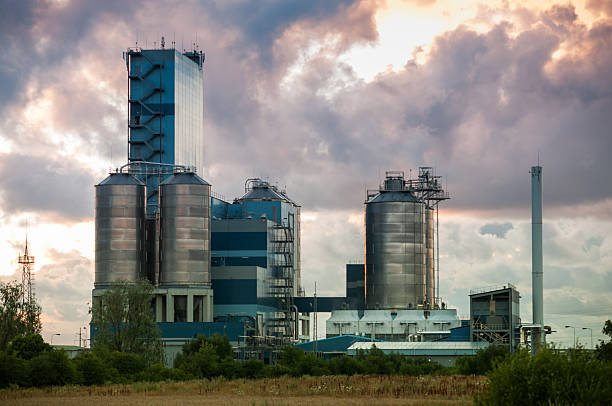 istock Low carbon footprint plant 187295923