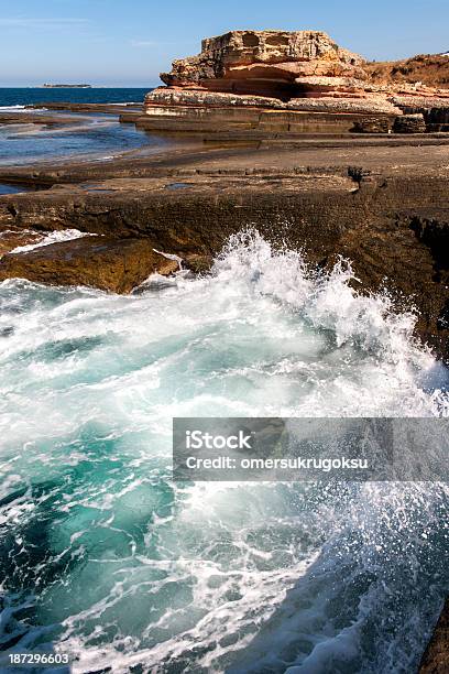 Costa Rocciosa E Onde - Fotografie stock e altre immagini di Acqua - Acqua, Albero, Ambientazione esterna