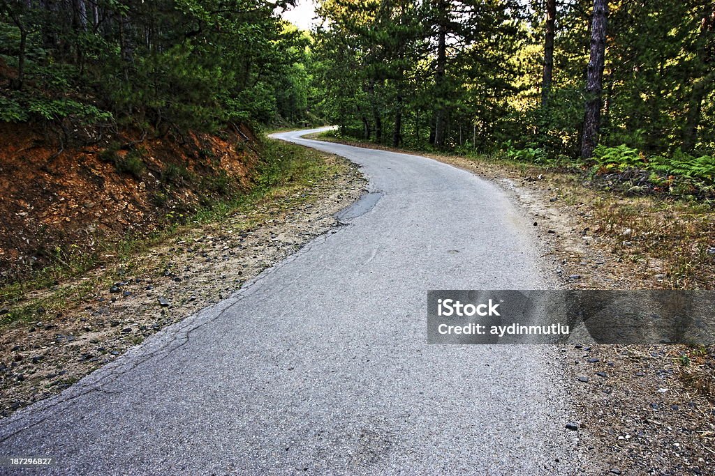 Forest Road - Foto de stock de Antigo royalty-free