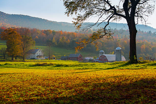 istock Autumn Evening on the Farm 187296860