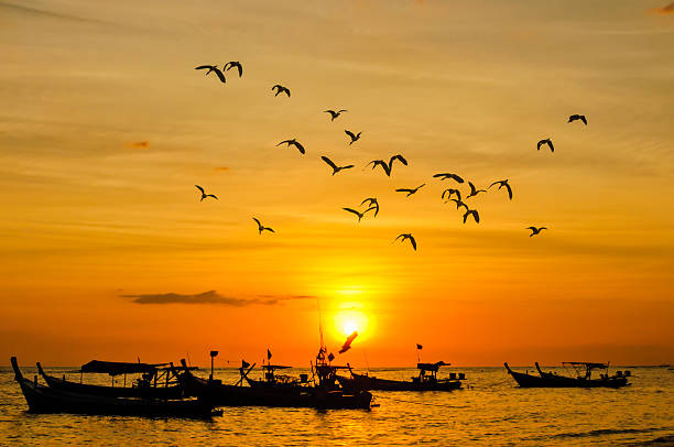 istock Small fishing boat with birds and sunsets 187300548