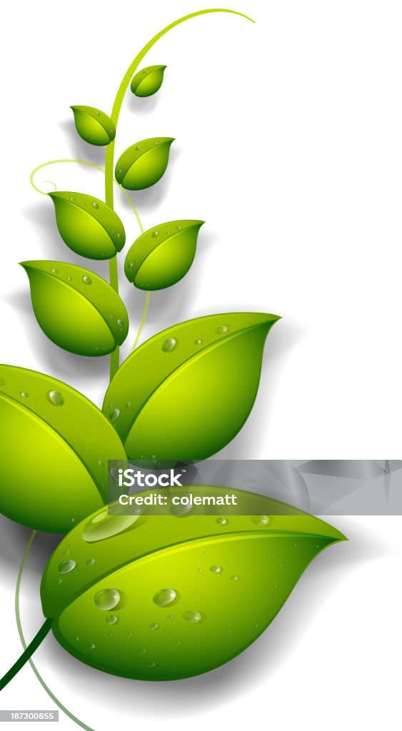 green plant with water drops green plant with water drops on a white background Computer Graphic stock vector