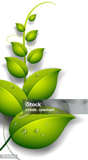 Green Plant With Water Drops Stock Illustration - Download Image Now - Computer Graphic, Condensation, Copy Space