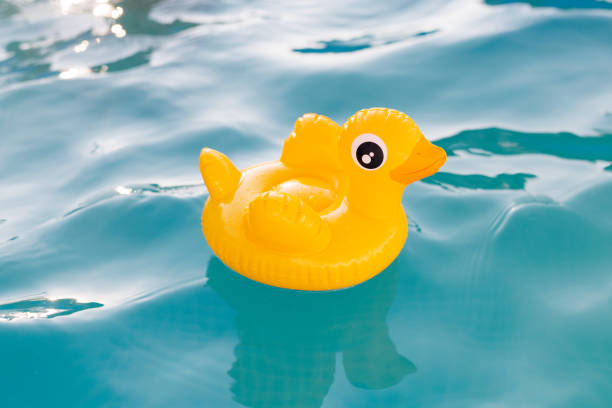 Yellow rubber toy ducks on leaf in a blue pool