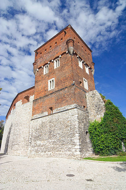 istock Wawel Cathedral,  Basilica of Sts. Stanislaw 187302082